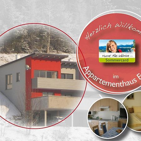 Appartementhaus Evelyn Schladming Eksteriør billede